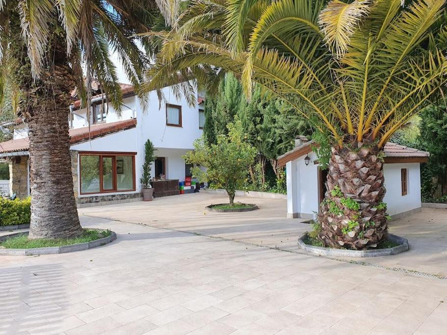 Dreams And Friends On The Coast Of Bilbao. Villa Getxo Exterior photo